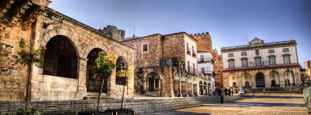 Curso NRI 2016 – Cáceres