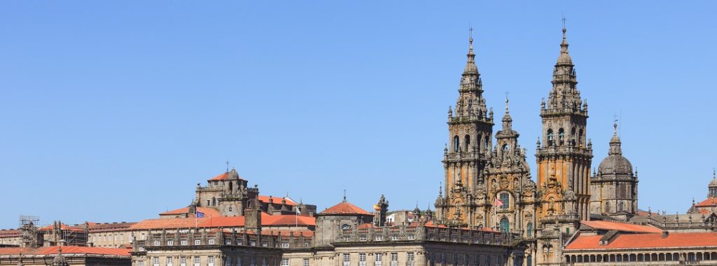 Reunión anual 2009 - Santiago de Compostela