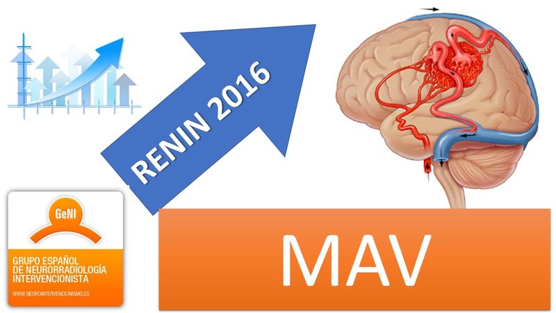 RENIN 2016 MAV