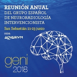 Reunión anual 2018 – San Sebastian