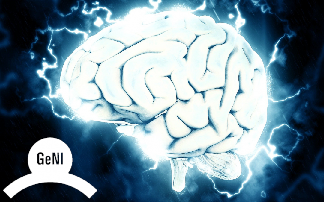 CURSO MONOGRÁFICO SOBRE EL TRATAMIENTO DE LAS MALFORMACIONES ARTERIOVENOSAS CEREBRALES