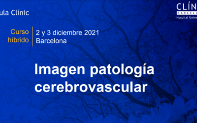 II Curso Patología Cerebrovascular