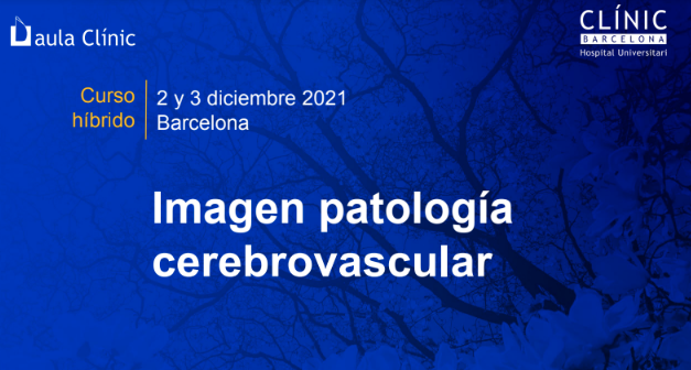 II Curso Patología Cerebrovascular