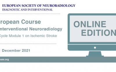 Becas GENI Stryke. European Course in Interventional Neuroradiology, 2nd Cycle Module 1 on Ischemic Stroke (online)
